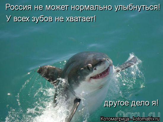 Котоматрица: Россия не может нормально улыбнуться! У всех зубов не хватает! другое дело я!