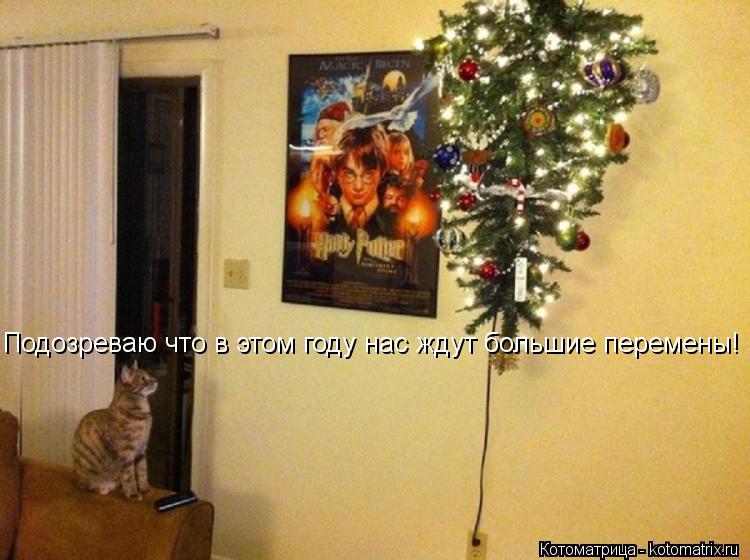 Котоматрица: Подозреваю что в этом году нас ждут большие перемены!