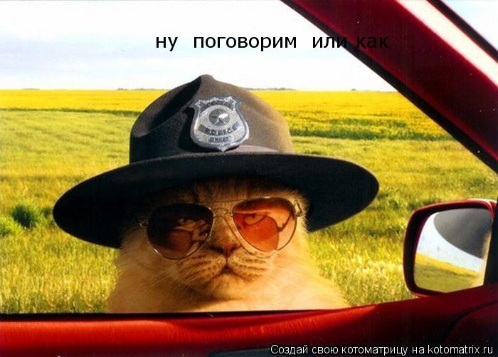 Котоматрица: ну  поговорим  или как