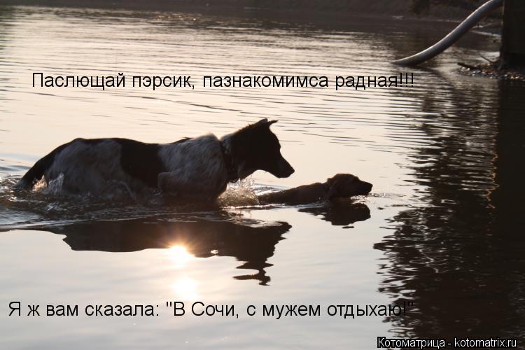 Котоматрица: Паслющай пэрсик, пазнакомимса радная!!! Я ж вам сказала: "В Сочи, с мужем отдыхаю!"