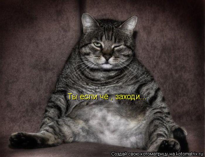 Котоматрица: Ты если чё , заходи...