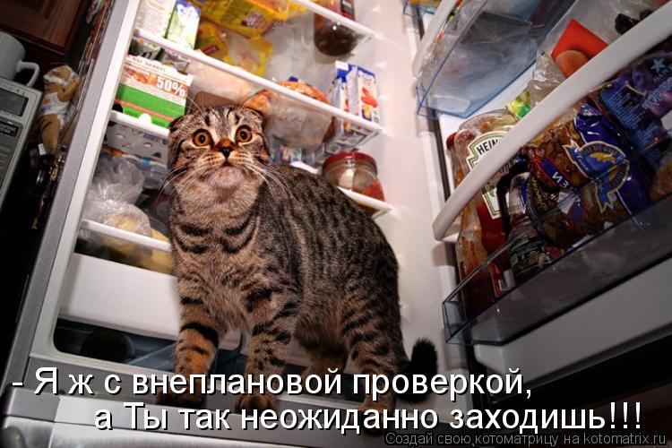 Котоматрица: - Я ж с внеплановой проверкой, а Ты так неожиданно заходишь!!!