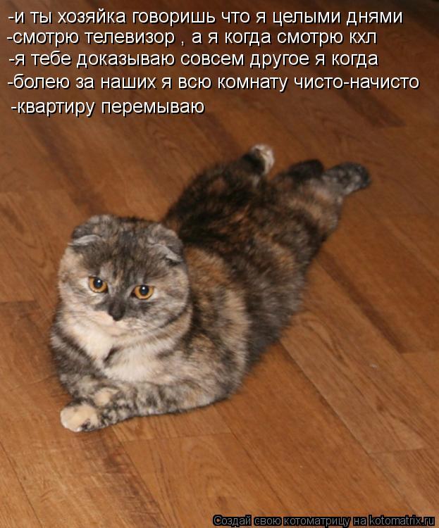 Котоматрица: -и ты хозяйка говоришь что я целыми днями -смотрю телевизор , а я когда смотрю кхл -я тебе доказываю совсем другое я когда -болею за наших я вс