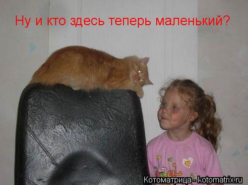 Котоматрица: Ну и кто здесь теперь маленький?