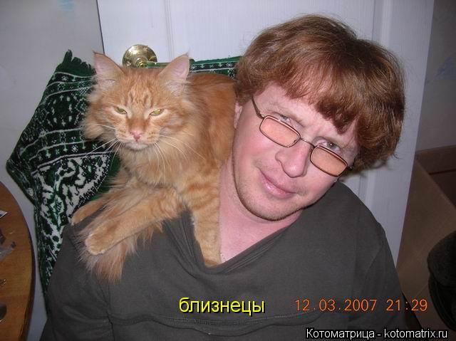 Котоматрица: близнецы