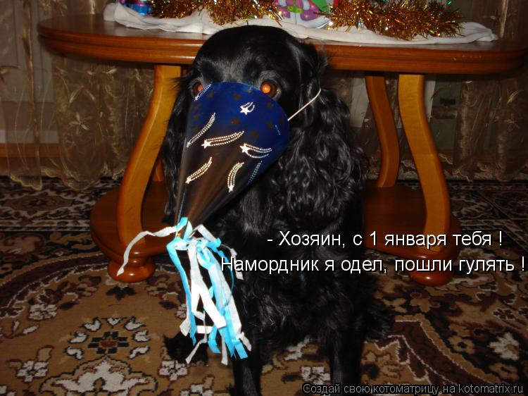 Котоматрица: - Хозяин, с 1 января тебя ! Намордник я одел, пошли гулять !
