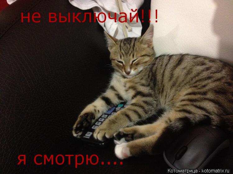 Котоматрица: не выключай!!! я смотрю....