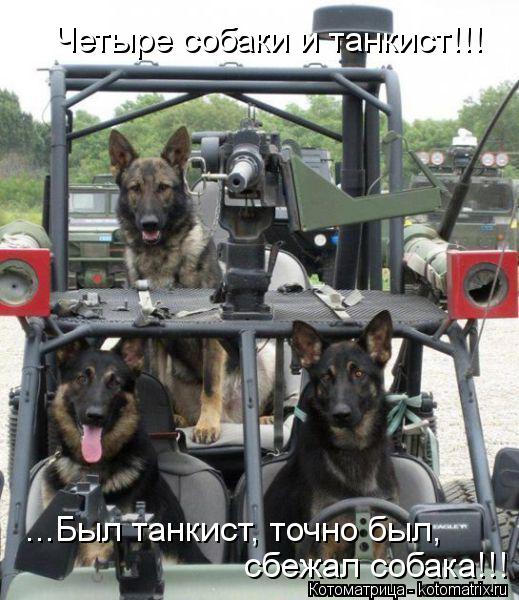 Котоматрица: Четыре собаки и танкист!!! ...Был танкист, точно был, сбежал собака!!!
