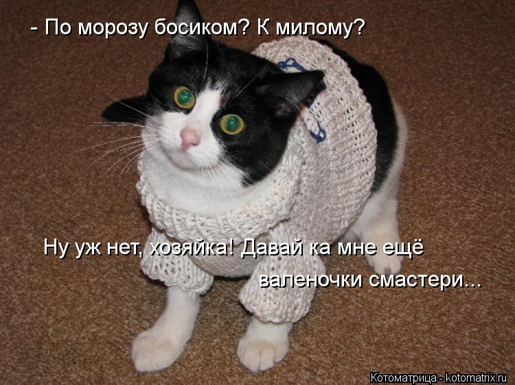 - По морозу босиком? К милому? Ну уж нет, хозяйка! Давай ка мне ещё валеночки смастери...... Котоматрица: - По морозу босиком? К милому? Ну уж нет, хозяйка! Давай ка мне ещё валеночки смастери...