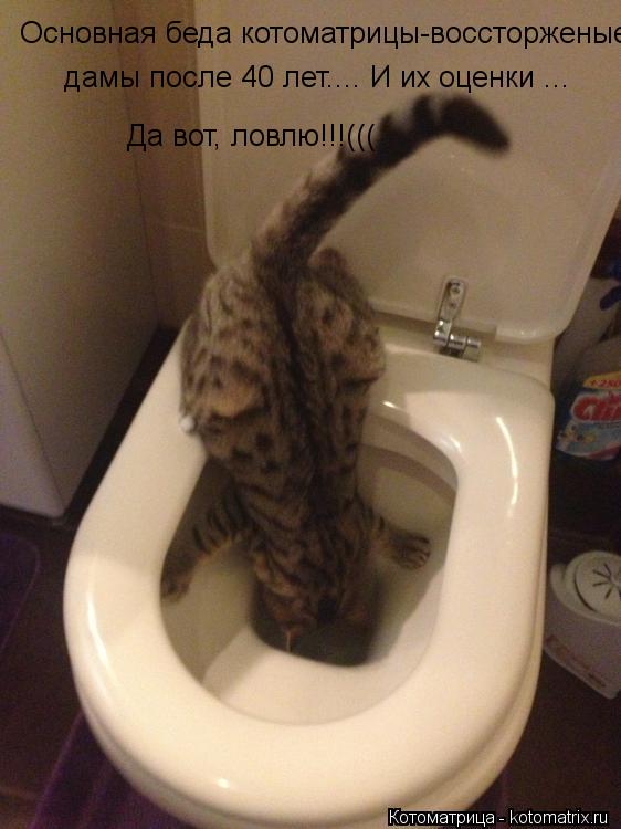 Котоматрица: Основная беда котоматрицы-воссторженые  дамы после 40 лет.... И их оценки ...  Да вот, ловлю!!!(((