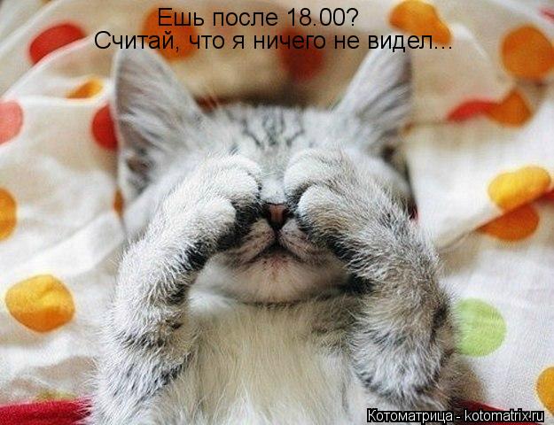 Ешь после 18.00? Считай, что я ничего не видел...... Котоматрица: Ешь после 18.00? Считай, что я ничего не видел...