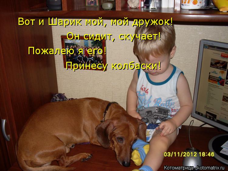 Котоматрица: Вот и Шарик мой, мой дружок! Он сидит, скучает! Пожалею я его! Принесу колбаски!