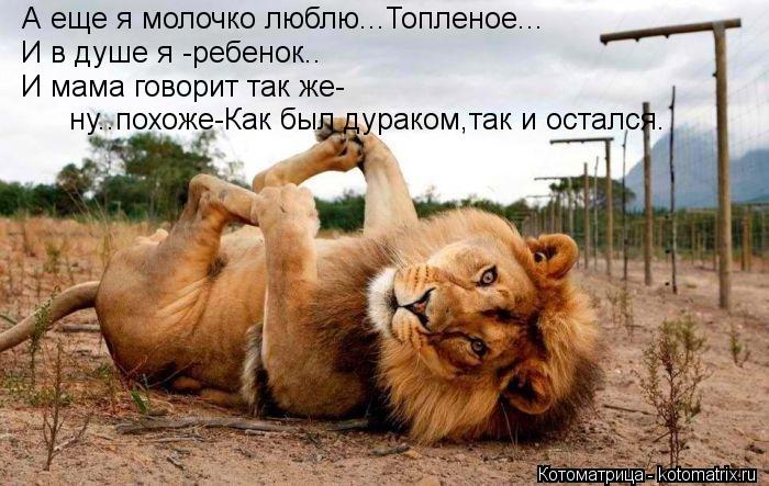 Котоматрица: А еще я молочко люблю...Топленое... И в душе я -ребенок.. И мама говорит так же- ну..похоже-Как был дураком,так и остался.