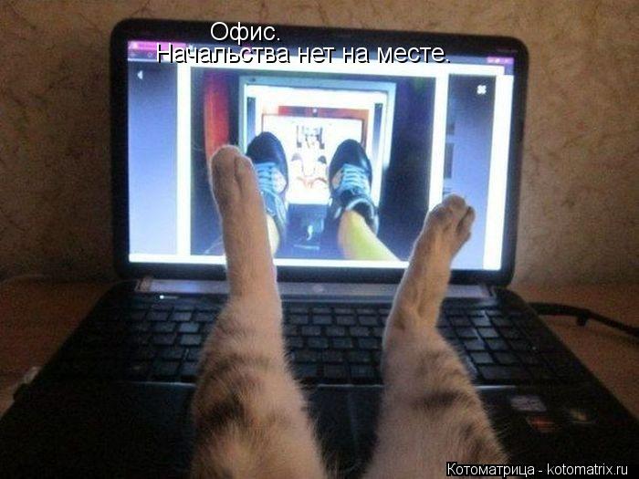 Котоматрица: Офис. Начальства нет на месте.