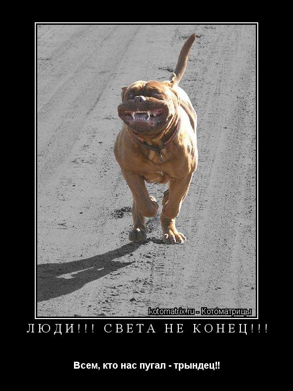 Котоматрица: ЛЮДИ!!! СВЕТА НЕ КОНЕЦ!!! Всем, кто нас пугал - трындец!!