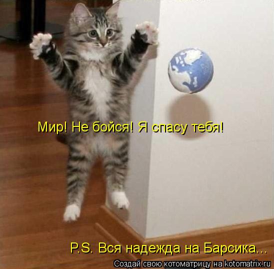 Котоматрица: Мир! Не бойся! Я спасу тебя! P.S. Вся надежда на Барсика...