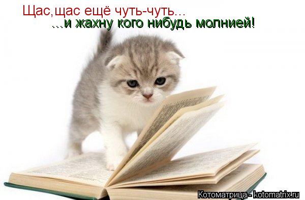 Котоматрица: Щас,щас ещё чуть-чуть... ...и жахну кого нибудь молнией!
