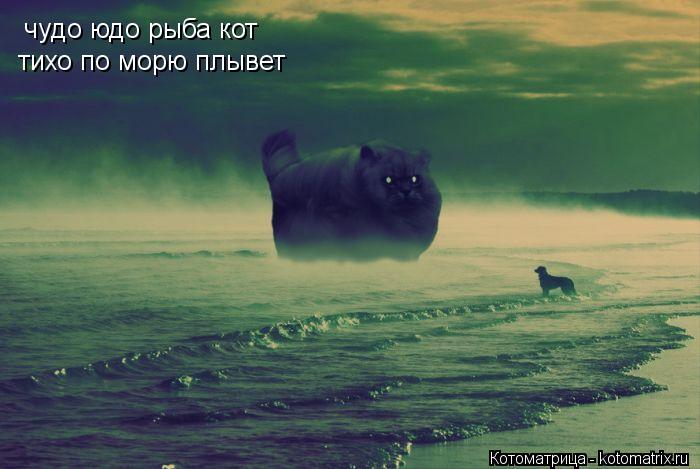 Котоматрица: чудо юдо рыба кот тихо по морю плывет