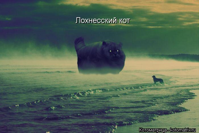 Котоматрица: Лохнесский кот