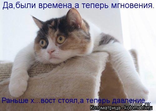 Котоматрица: Да,были времена,а теперь мгновения. Раньше х...вост стоял,а теперь давление...