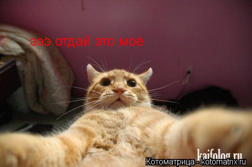 Котоматрица: эээ отдай это моё