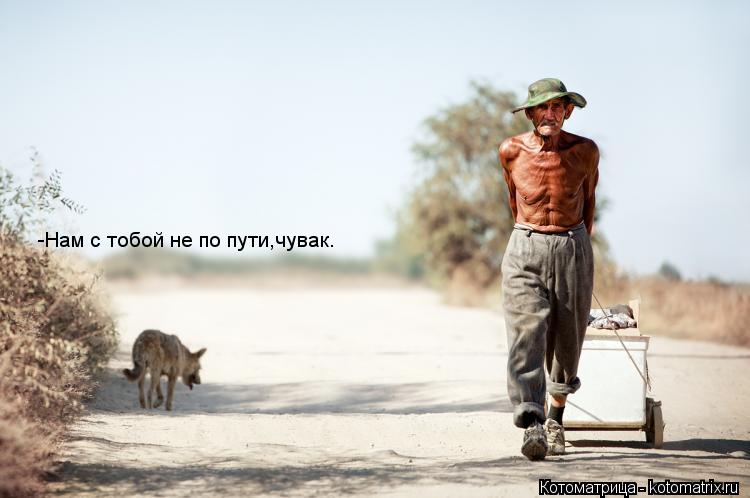 Котоматрица: -Нам с тобой не по пути,чувак.