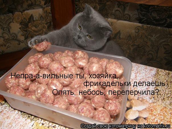 Котоматрица: Непра-а-вильные ты, хозяйка, фрикадельки делаешь. Опять, небось, переперчила?...