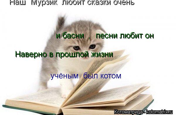 Котоматрица: Наш  Мурзик  любит сказки очень   и басни  ,  песни любит он Наверно в прошлой жизни  учёным  был котом
