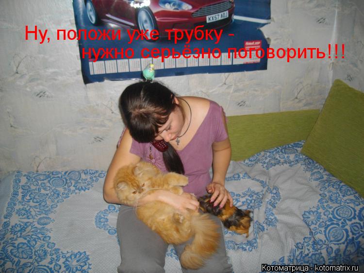 Ну, положи уже трубку - нужно серьёзно поговорить!!!... Котоматрица: Ну, положи уже трубку - нужно серьёзно поговорить!!!