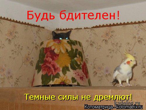 Котоматрица: Будь бдителен! Темные силы не дремлют!
