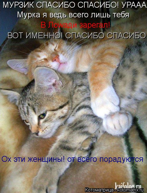 Котоматрица: МУРЗИК СПАСИБО СПАСИБО! УРАААА)! Мурка я ведь всего лишь тебя  В Лоwади зарегал! ВОТ ИМЕННО! СПАСИБО СПАСИБО Ох эти женщины! от всего порадуют