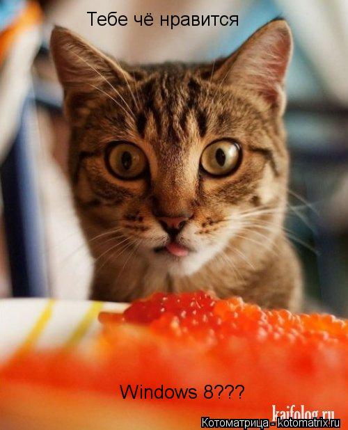 Котоматрица: Тебе чё нравится  Windows 8???
