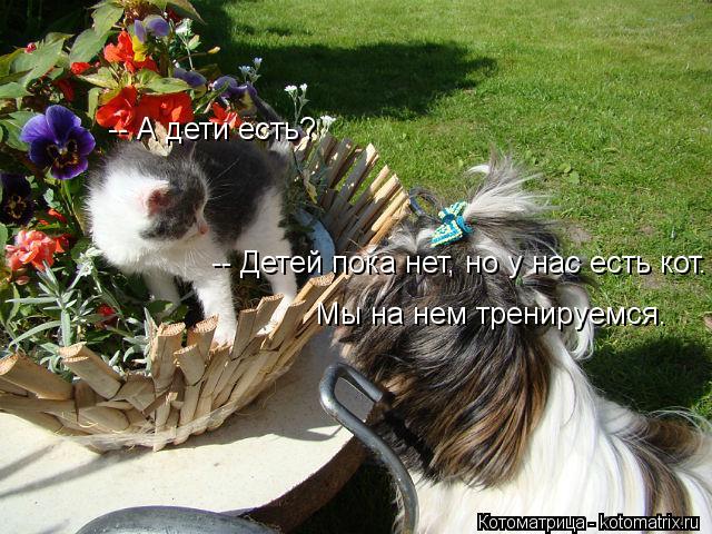 Котоматрица: -- А дети есть? -- Детей пока нет, но у нас есть кот.  Мы на нем тренируемся.