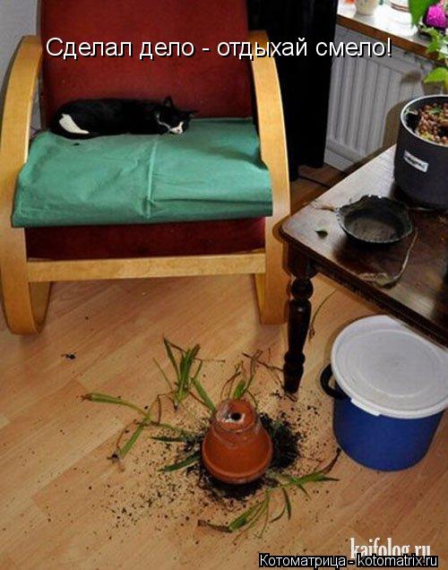 Котоматрица: Сделал дело - отдыхай смело!