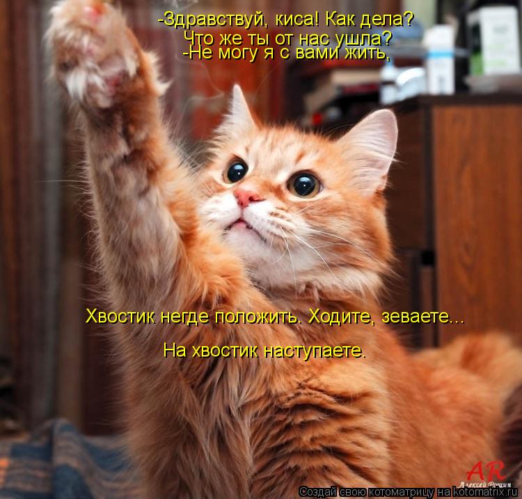 -Здравствуй, киса! Как дела? Что же ты от нас ушла? -Не могу я с вами жить, Хвостик негде положить. Х... Котоматрица: -Здравствуй, киса! Как дела? Что же ты от нас ушла? -Не могу я с вами жить, Хвостик негде положить. Ходите, зеваете... На хвостик наступаете.