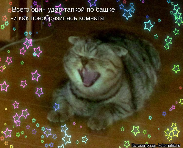 Котоматрица: Всего один удар тапкой по башке- -и как преобразилась комната.