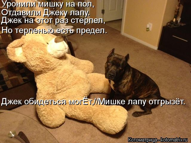 Котоматрица: Уронили мишку на пол, Отдавили Джеку лапу. Джек на этот раз стерпел, Но терпенью есть предел. Джек обидеться могЁт,//Мишке лапу отгрызёт.