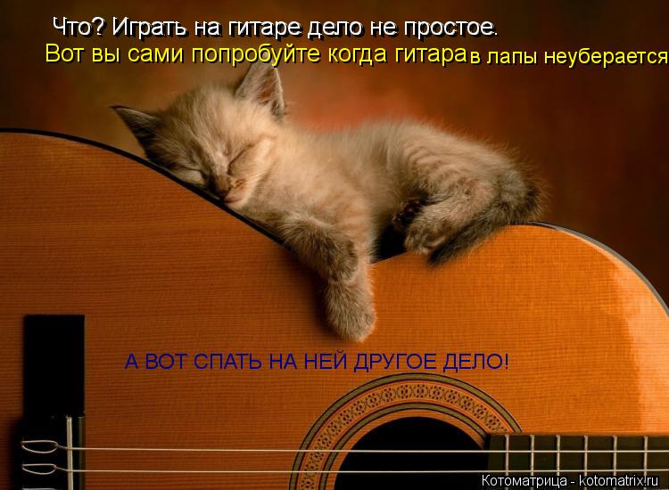 Котоматрица: Что? Играть на гитаре дело не простое Что? Играть на гитаре дело не простое. Вот вы сами попробуйте когда гитара в лапы неуберается А ВОТ СПА