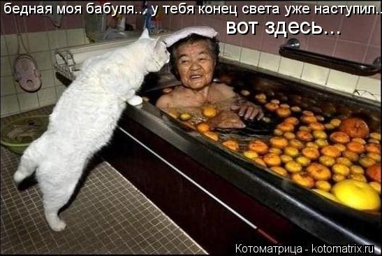 Котоматрица: бедная моя бабуля... у тебя конец света уже наступил... вот здесь...