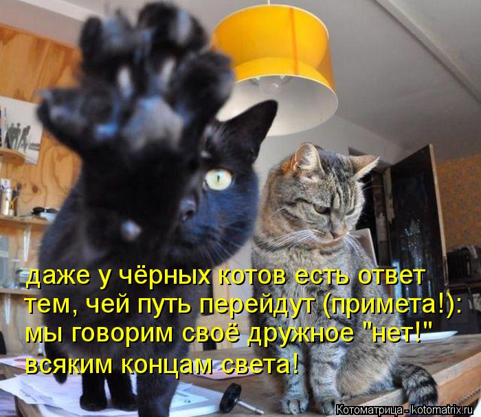 Котоматрица: даже у чёрных котов есть ответ тем, чей путь перейдут (примета!):  мы говорим своё дружное "нет!" всяким концам света!