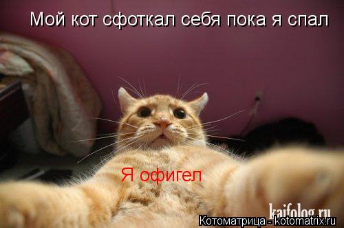 Котоматрица: Мой кот сфоткал себя пока я спал Я офигел