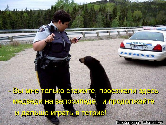 Котоматрица: - Вы мне только скажите, проезжали здесь  медведи на велосипеде,  и продолжайте и дальше играть в тетрис!