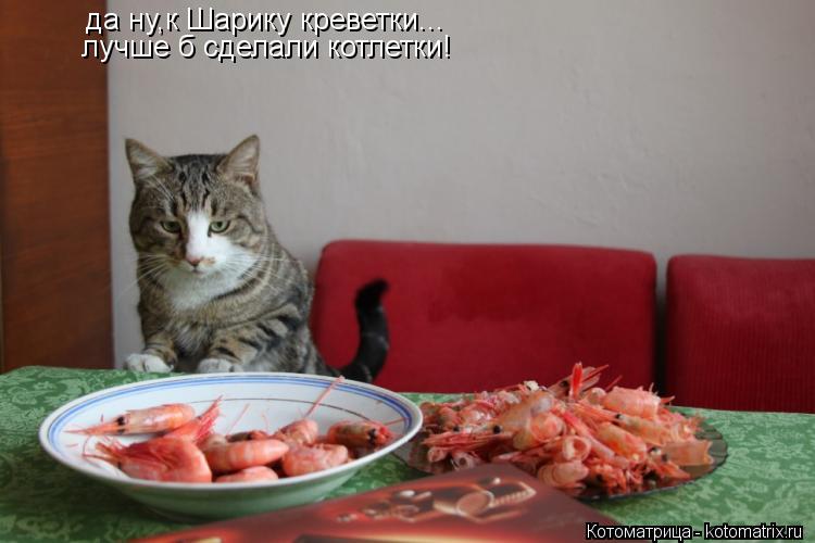 Котоматрица: да ну,к Шарику креветки... лучше б сделали котлетки!