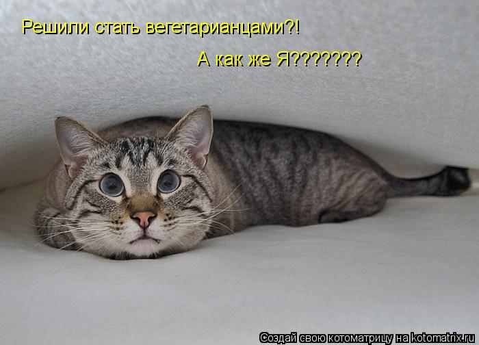 Котоматрица: Решили стать вегетарианцами?! А как же Я???????