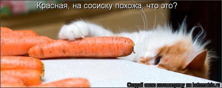 Котоматрица: Красная, на сосиску похожа, что это?