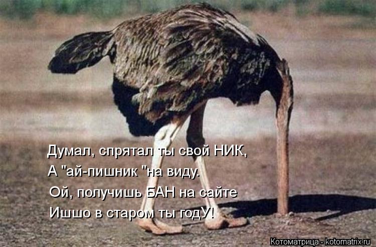 Котоматрица: Думал, спрятал ты свой НИК, А "ай-пишник "на виду. Ой, получишь БАН на сайте Ишшо в старом ты годУ!