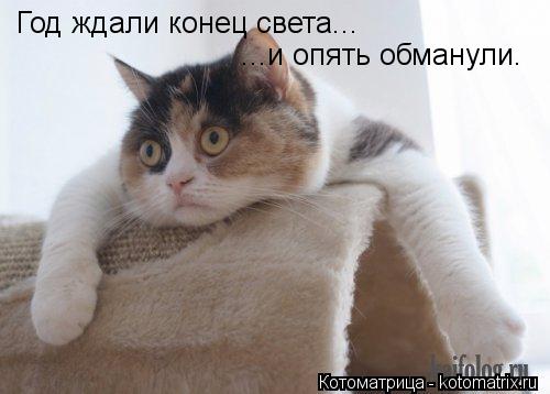 Котоматрица: Год ждали конец света... ...и опять обманули.