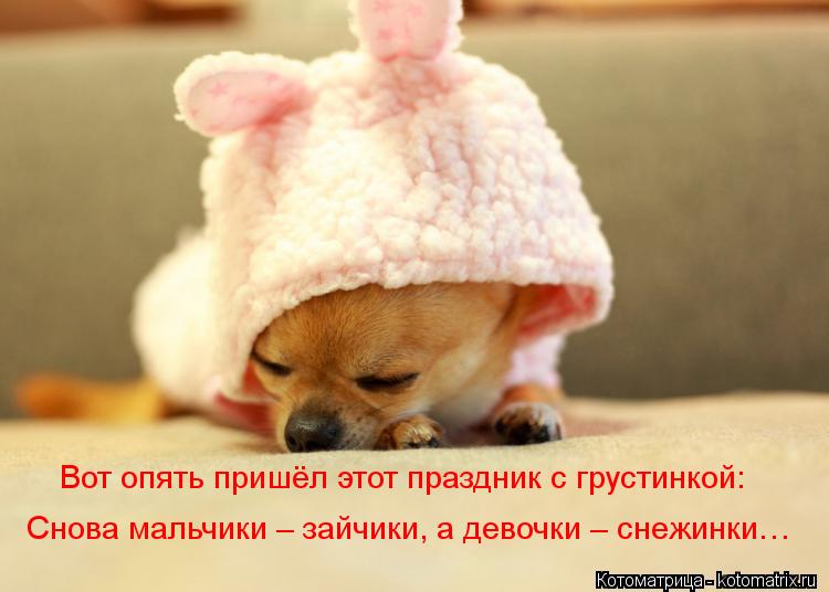 Котоматрица: Вот опять пришёл этот праздник с грустинкой: Снова мальчики – зайчики, а девочки – снежинки…