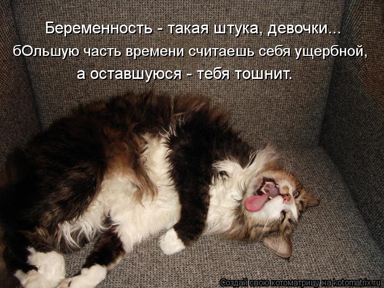 Котоматрица: Беременность - такая штука, девочки... бОльшую часть времени считаешь себя ущербной,  а оставшуюся - тебя тошнит.
