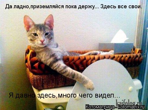 Да ладно,приземляйся пока держу... Здесь все свои. Я давно здесь,много чего видел...... Котоматрица: Да ладно,приземляйся пока держу... Здесь все свои. Я давно здесь,много чего видел...